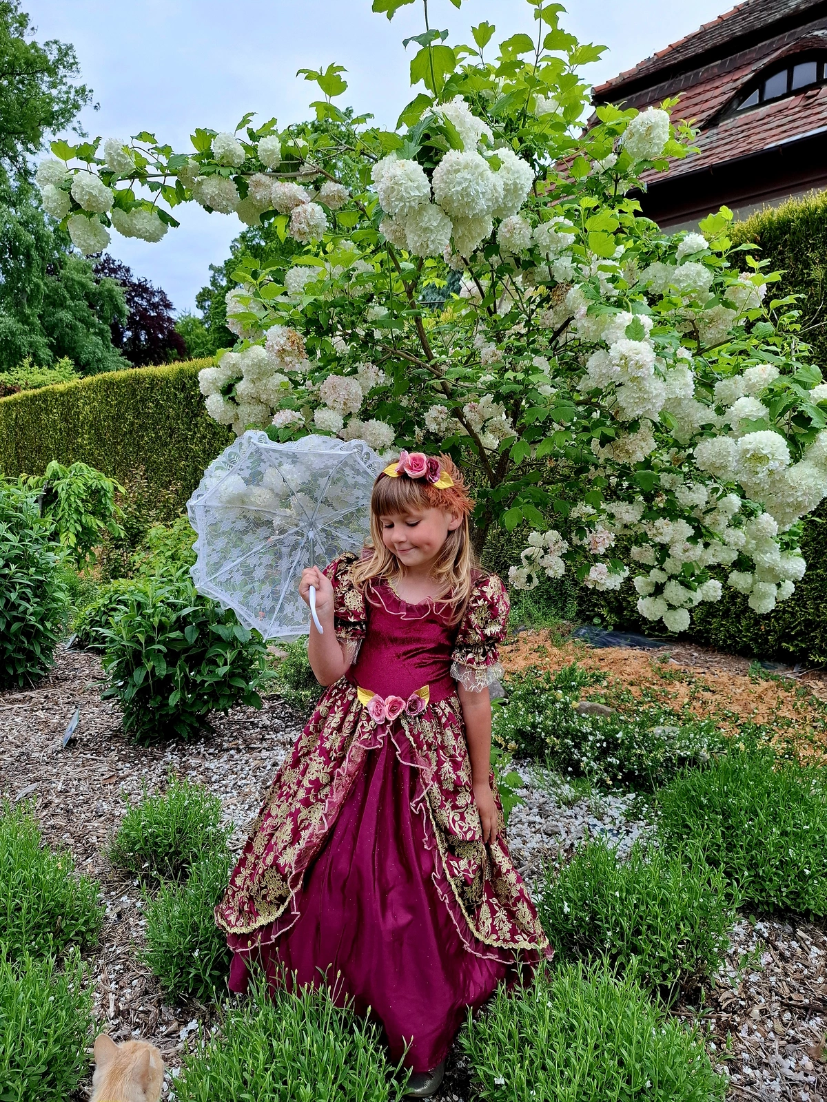 Stroje z epoki w Dalkowskim Parku