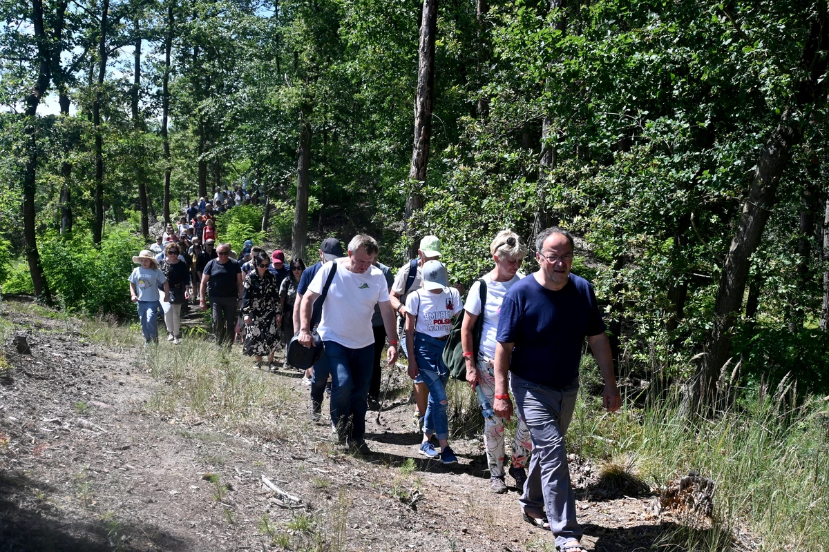 Tak dla Wieży na Wzgórzach Dalkowskich