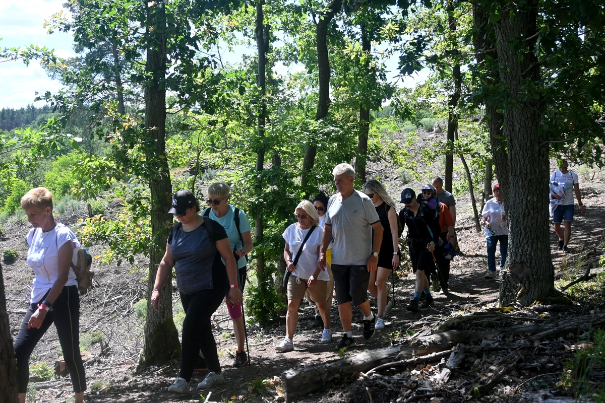 Tak dla Wieży na Wzgórzach Dalkowskich