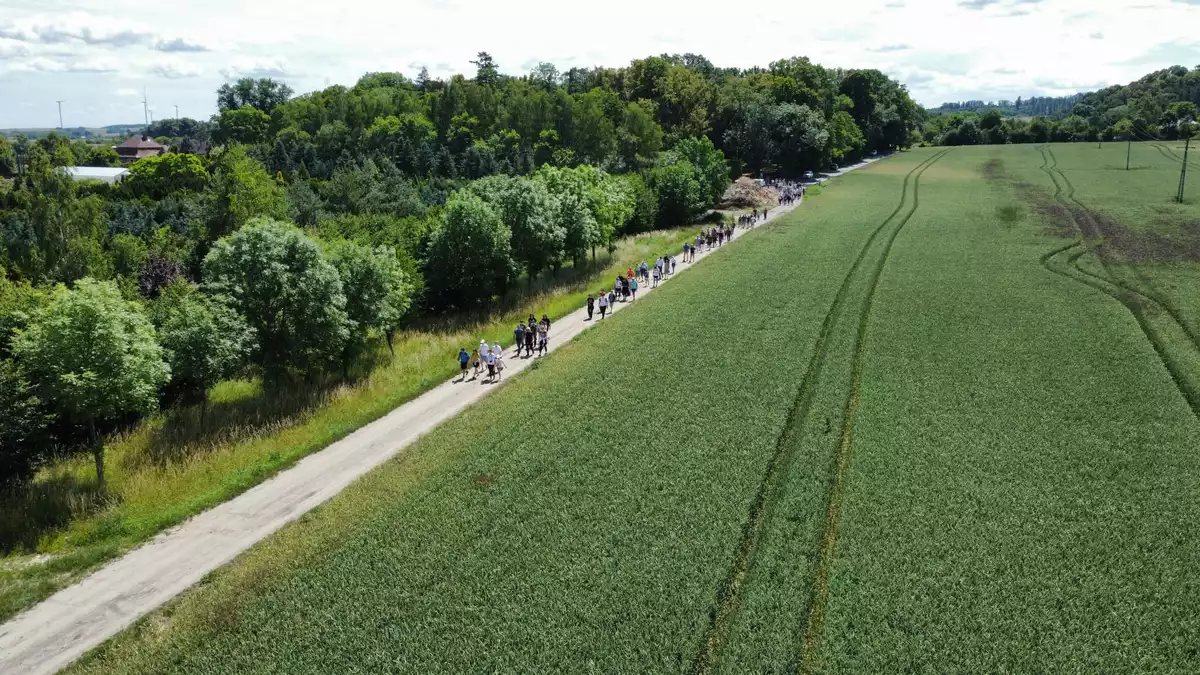 Tak dla Wieży na Wzgórzach Dalkowskich