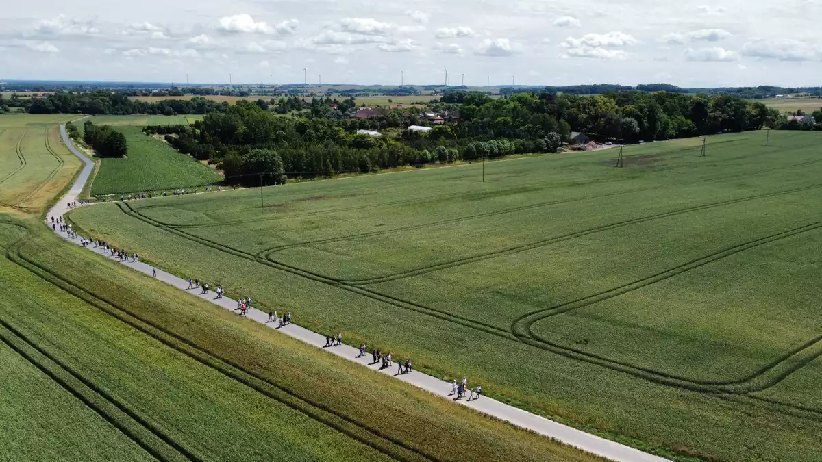 Tak dla Wieży na Wzgórzach Dalkowskich