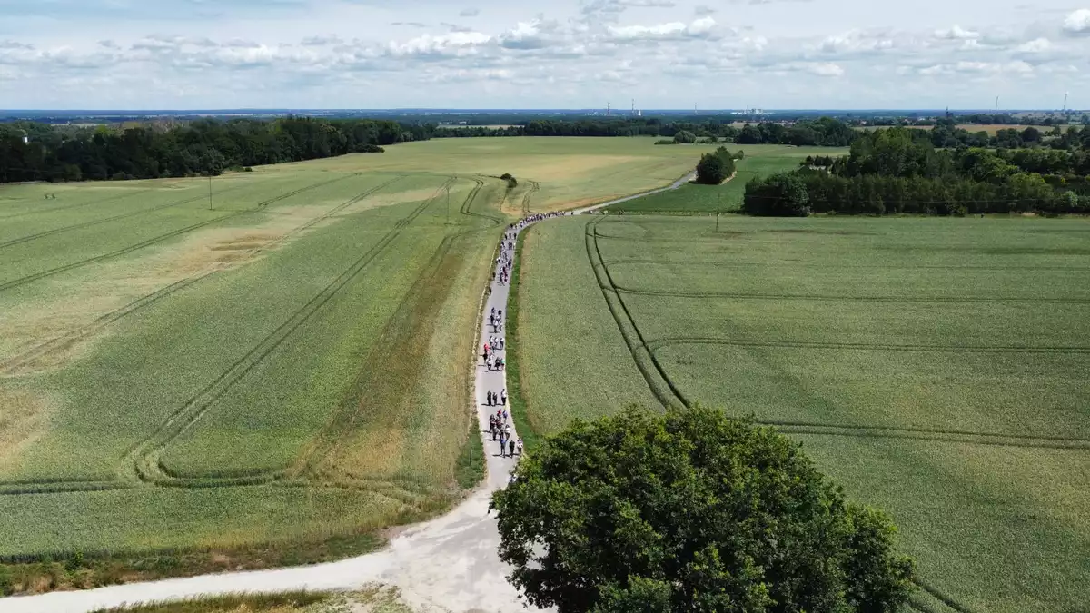 Tak dla Wieży na Wzgórzach Dalkowskich