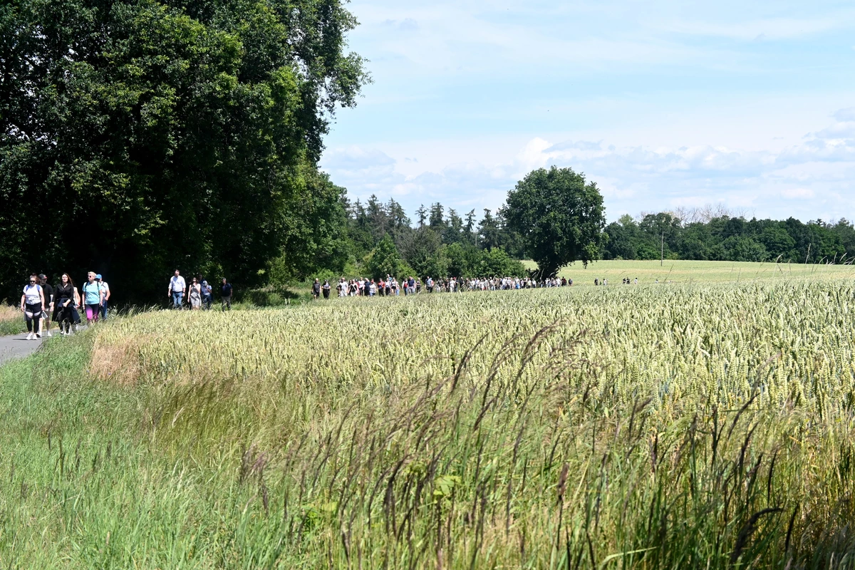 Tak dla Wieży na Wzgórzach Dalkowskich