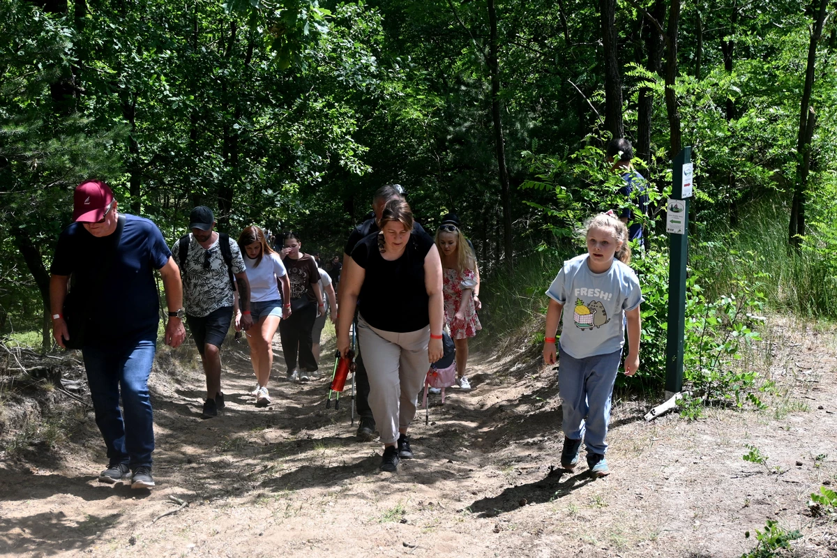 Tak dla Wieży na Wzgórzach Dalkowskich