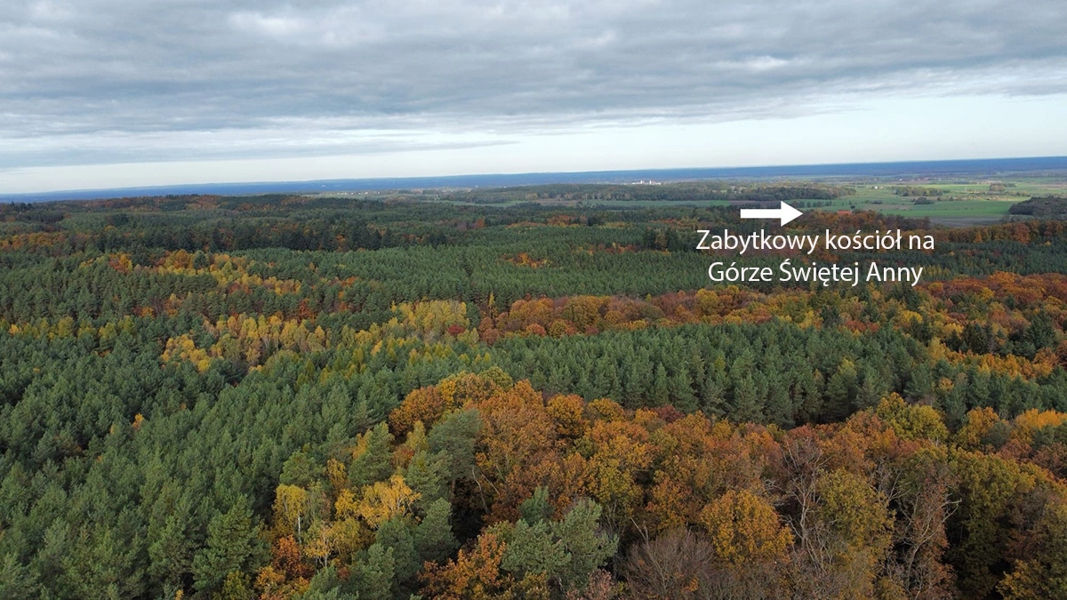 Wieża na Wzgórzach Dalkowskich