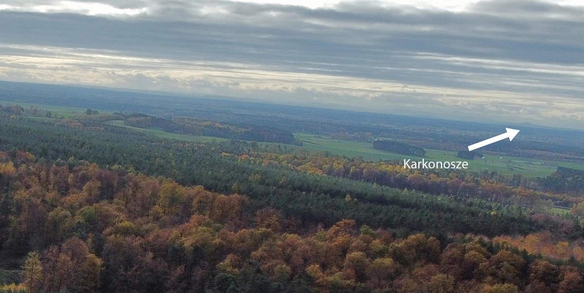 Wieża na Wzgórzach Dalkowskich