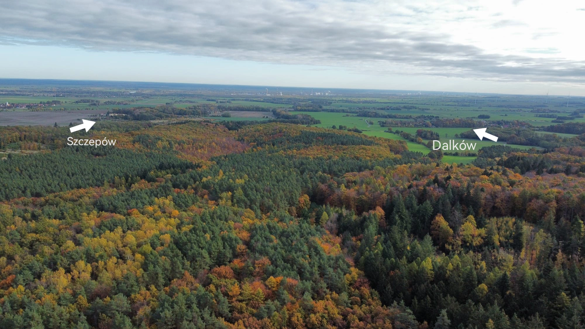 Wieża na Wzgórzach Dalkowskich