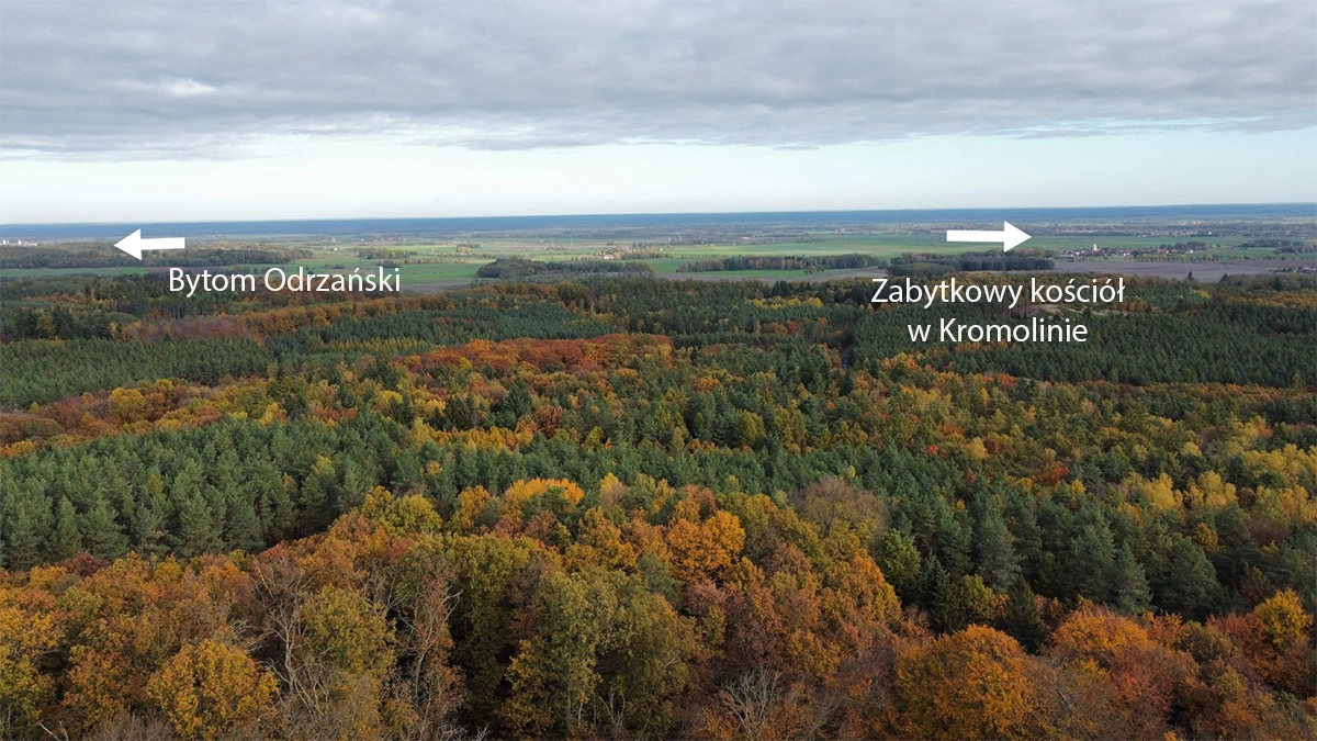 Wieża na Wzgórzach Dalkowskich