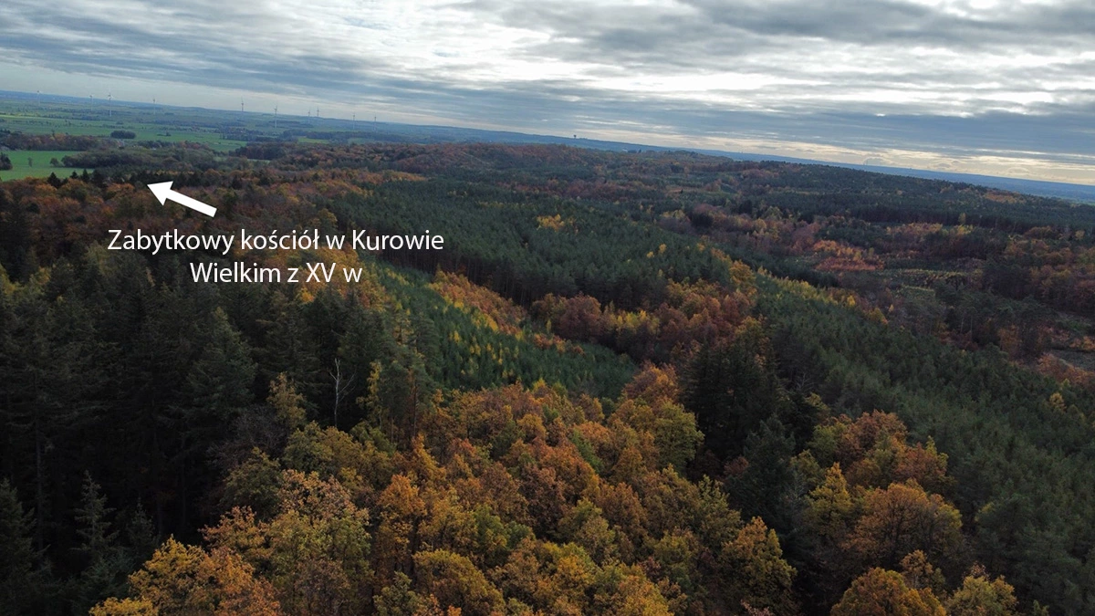 Wieża na Wzgórzach Dalkowskich