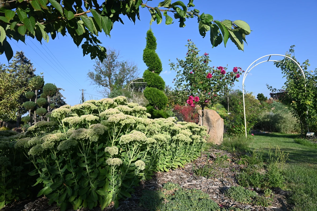 Wygląd Centrum Hortiterapii we wrześniu