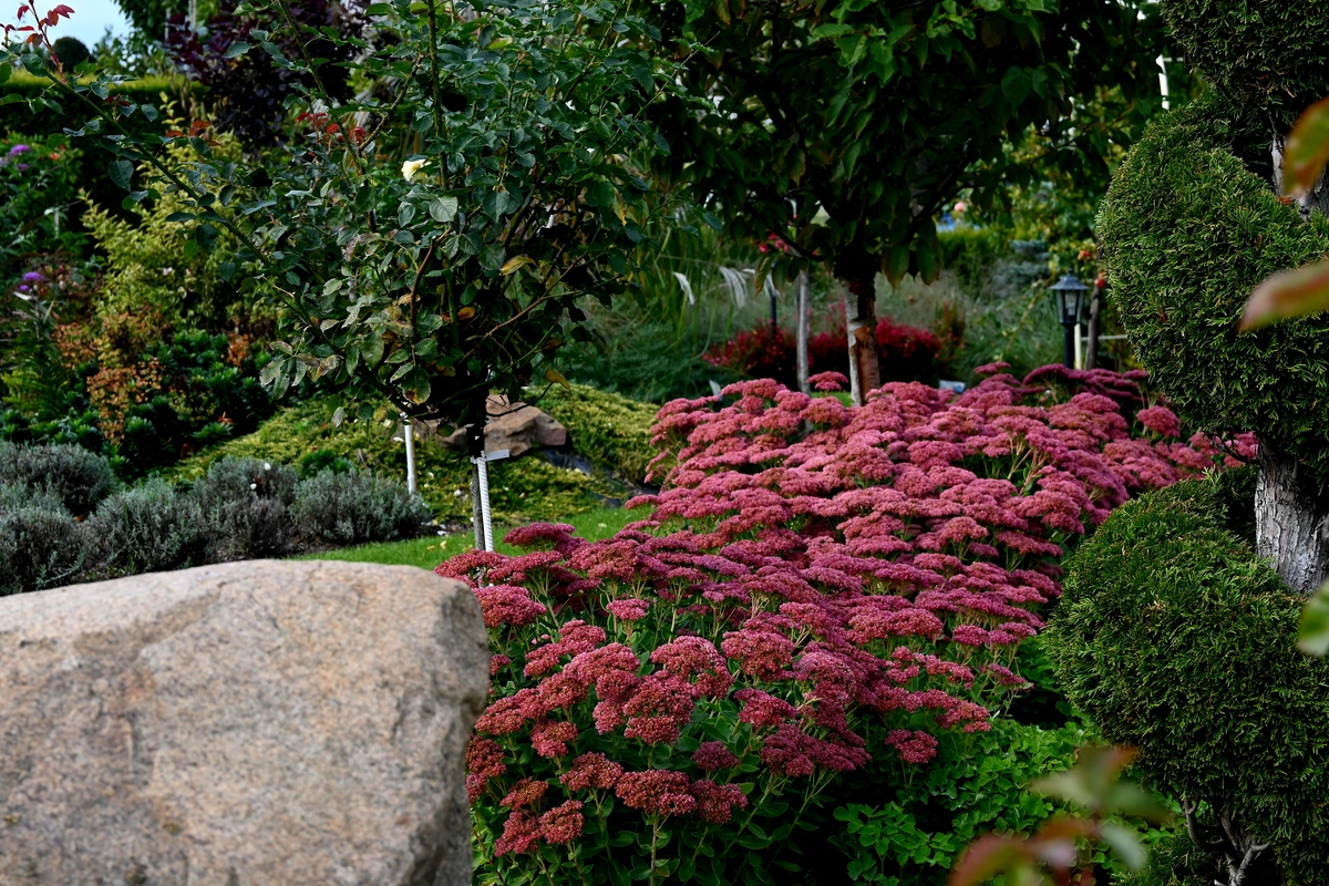 Wygląd Centrum Hortiterapii we wrześniu