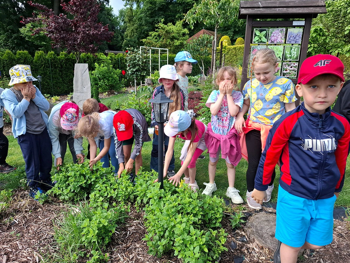 Atrakcje w trakcie wycieczek zorganizowanych do Centrum Hortiterapii-Ogrodów Zmysłów na Wzgórzach Dalkowskich