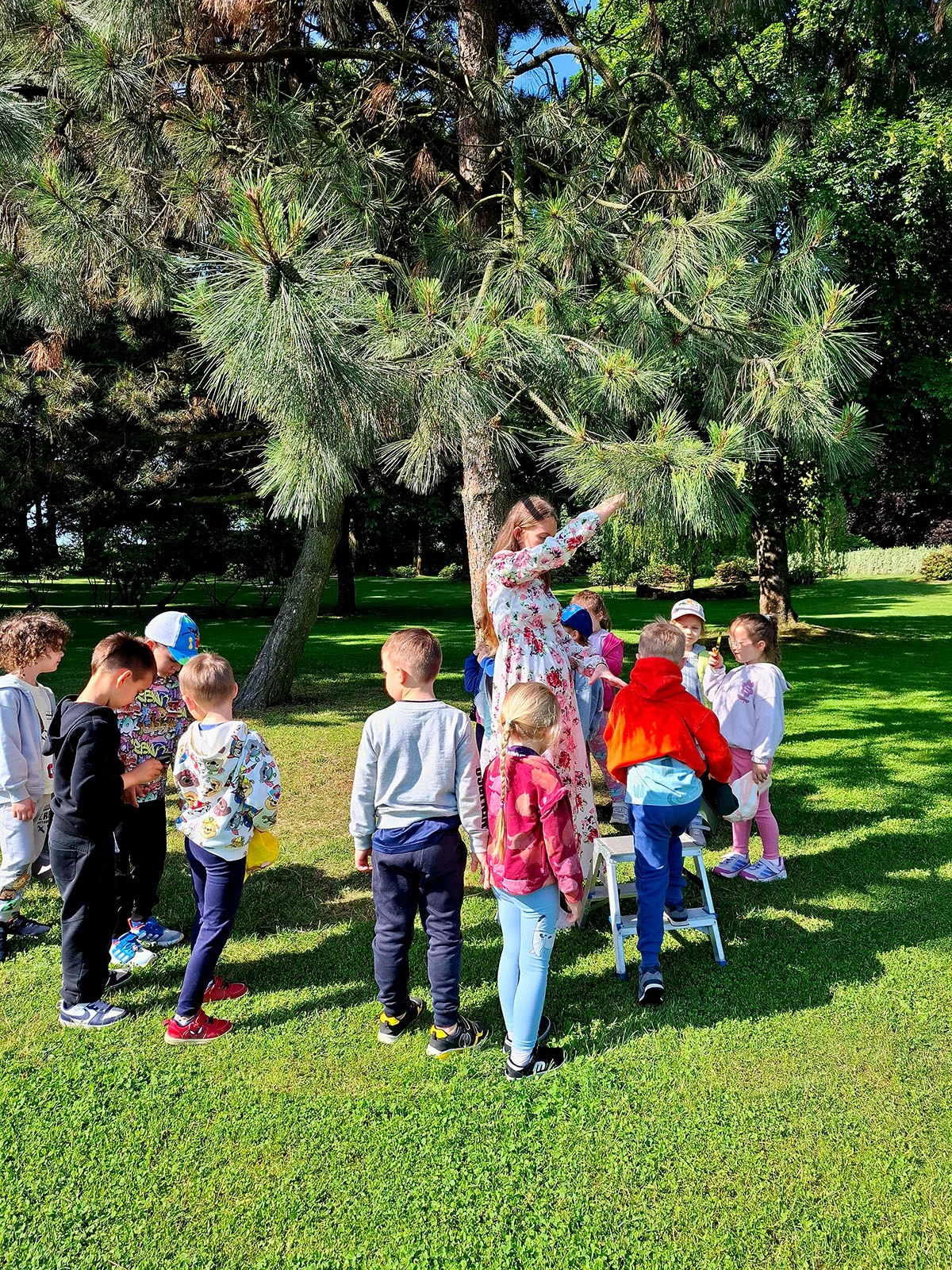 Atrakcje w trakcie wycieczek zorganizowanych do Centrum Hortiterapii-Ogrodów Zmysłów na Wzgórzach Dalkowskich