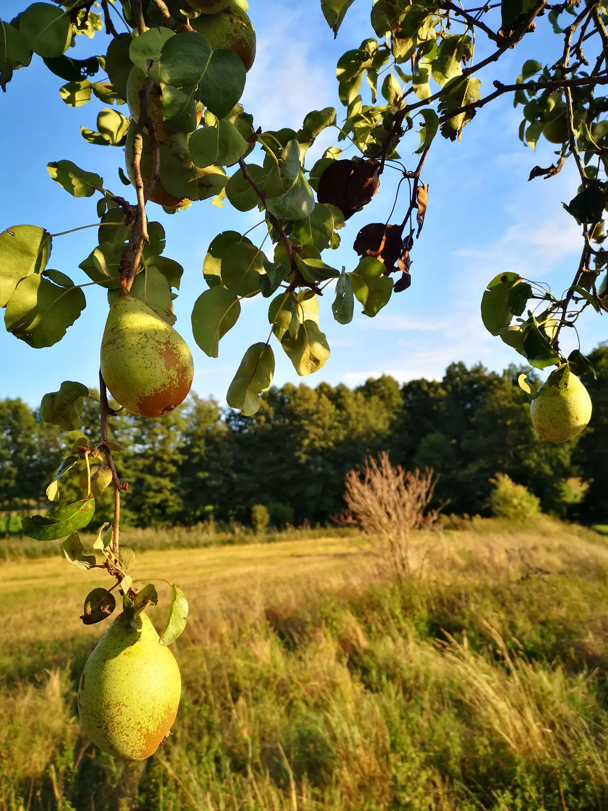 tabliczki kierunkowe szlaków na wzgórzach