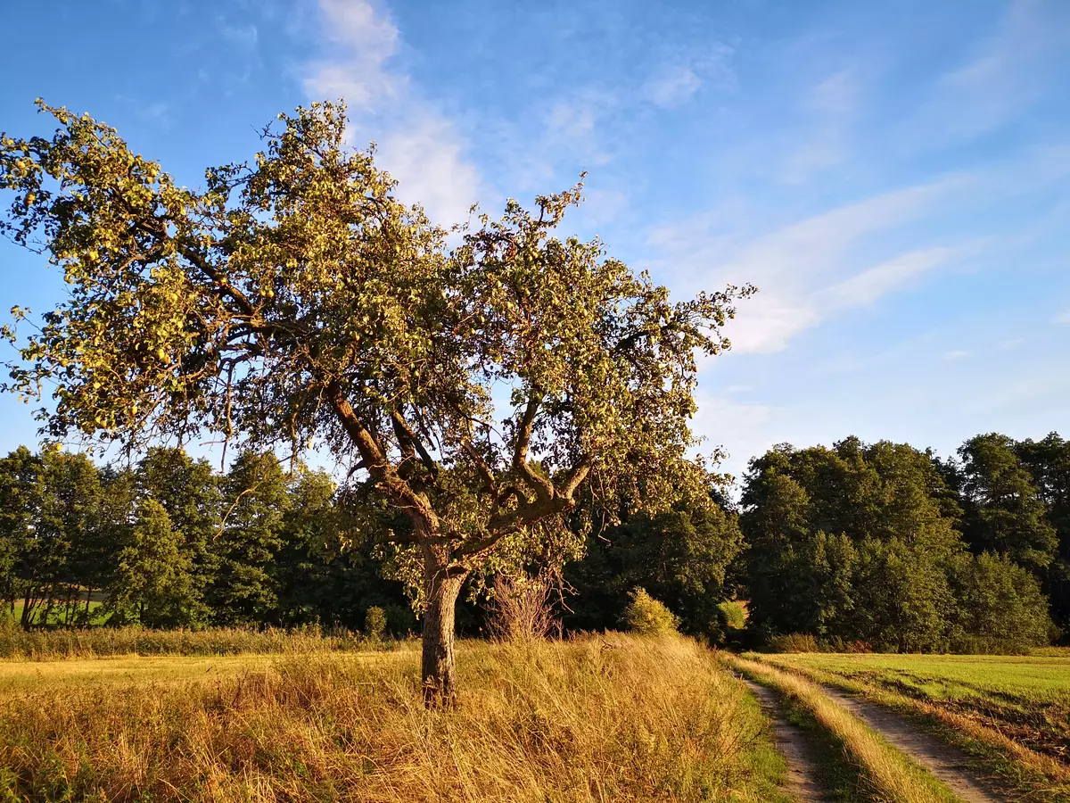 tabliczki kierunkowe szlaków na wzgórzach