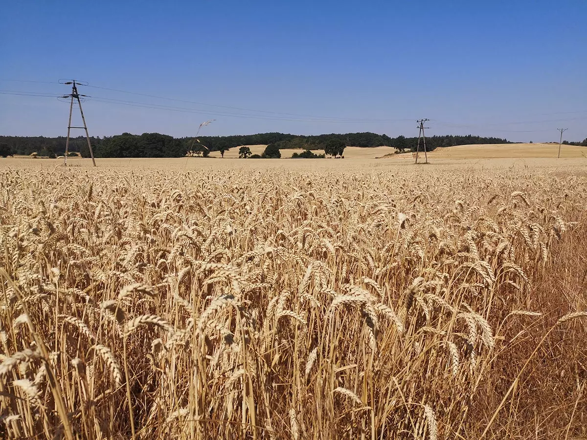 tabliczki kierunkowe szlaków na wzgórzach