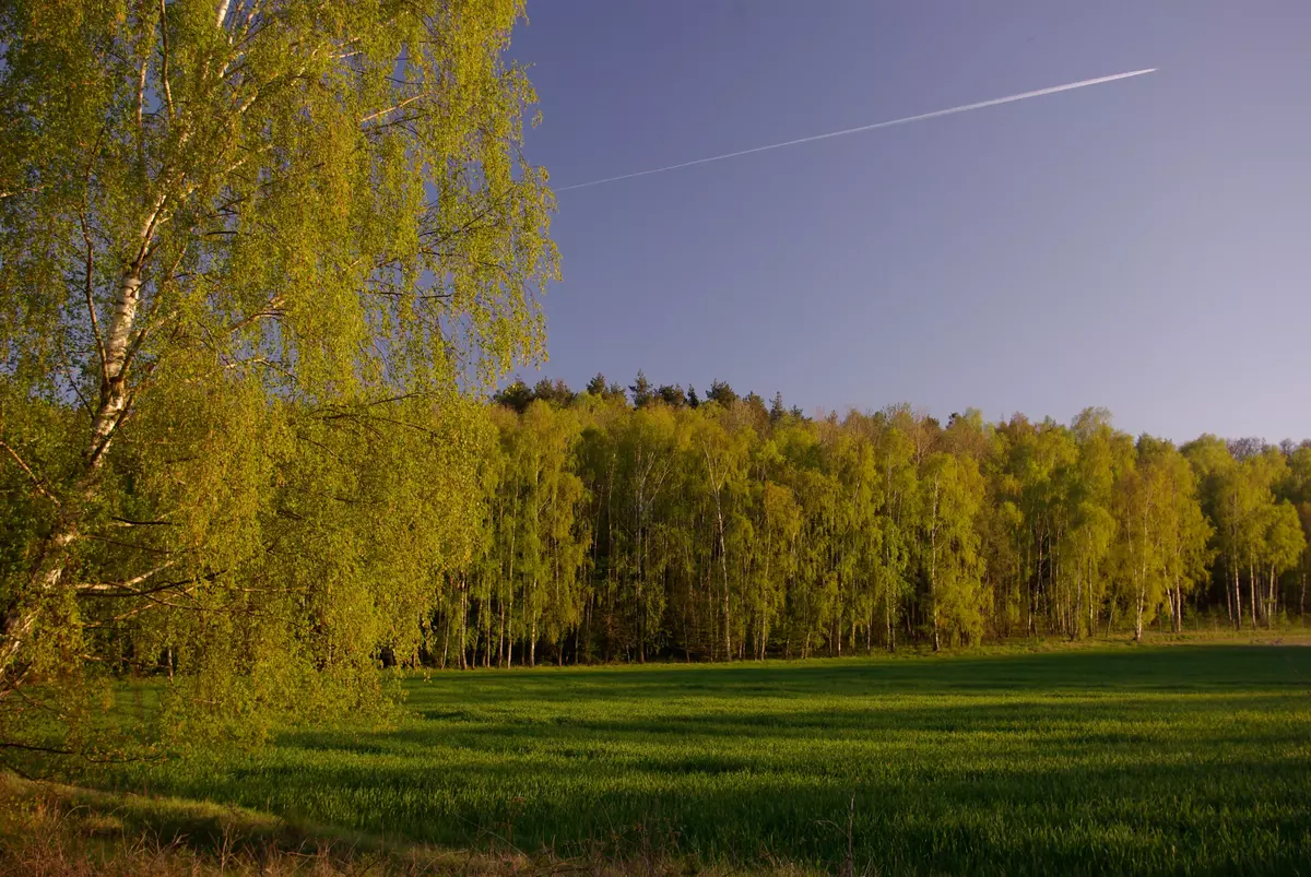 tabliczki kierunkowe szlaków na wzgórzach