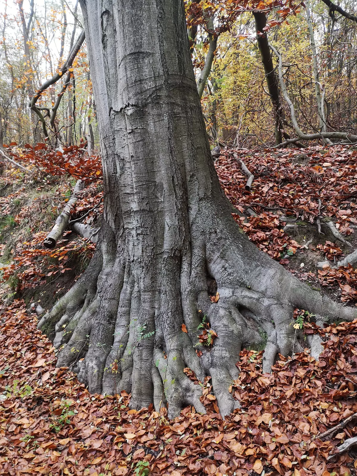 tabliczki kierunkowe szlaków na wzgórzach