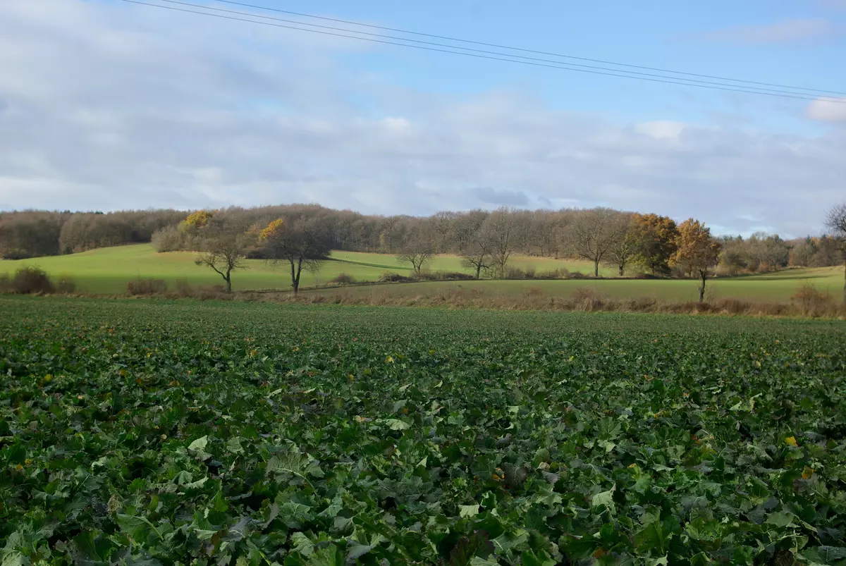 tabliczki kierunkowe szlaków na wzgórzach