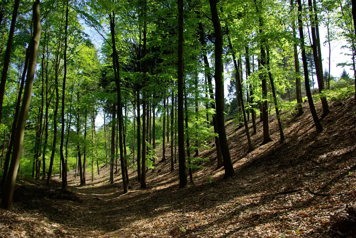 tabliczki kierunkowe szlaków na wzgórzach