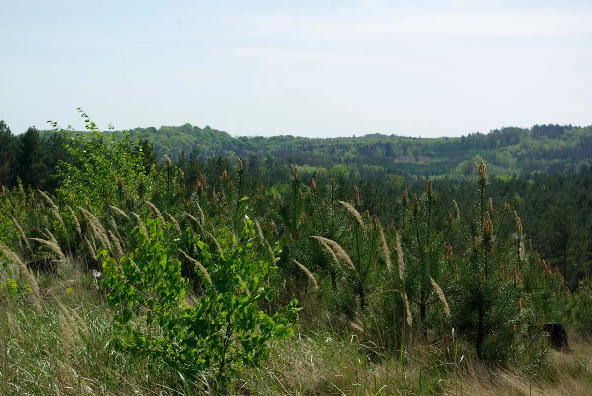 tabliczki kierunkowe szlaków na wzgórzach