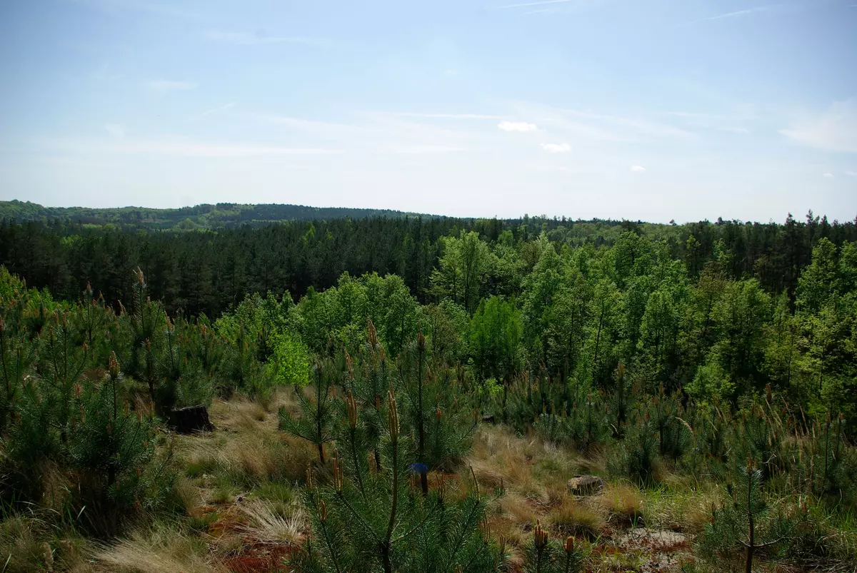 tabliczki kierunkowe szlaków na wzgórzach