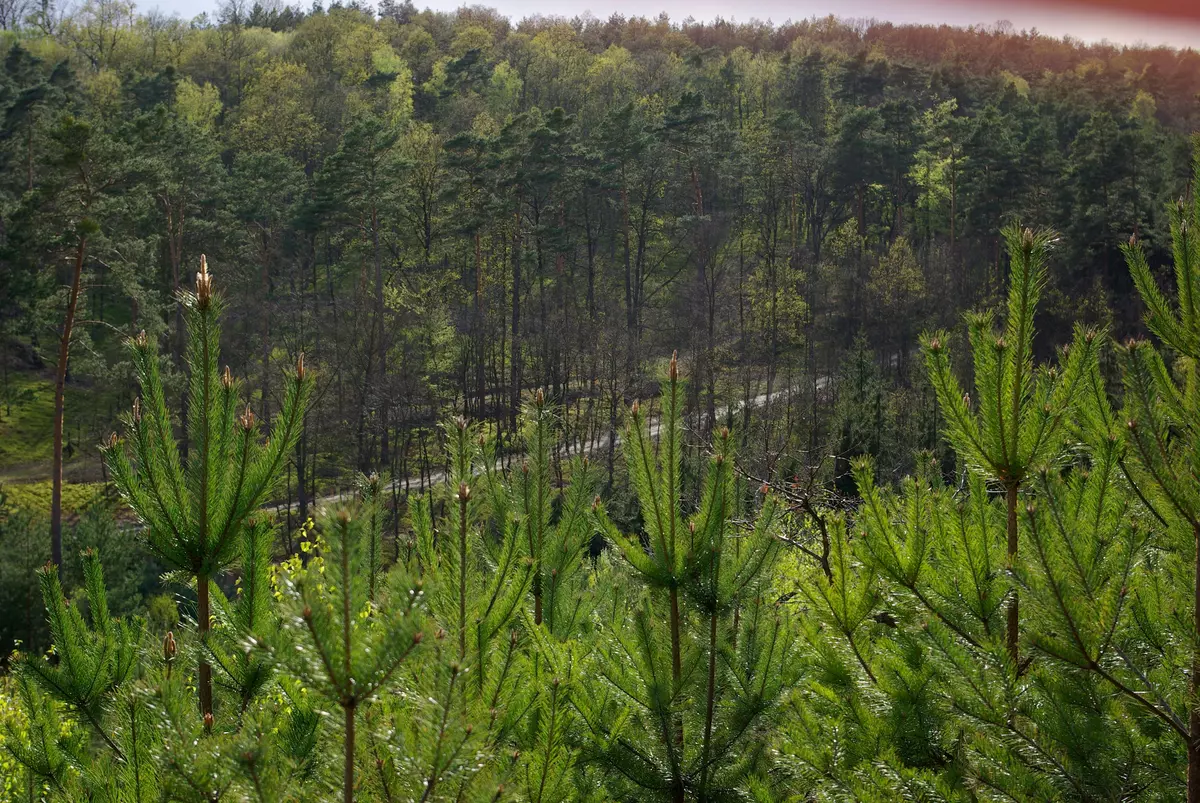 tabliczki kierunkowe szlaków na wzgórzach