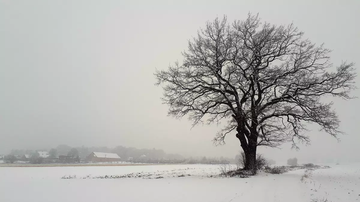 tabliczki kierunkowe szlaków na wzgórzach
