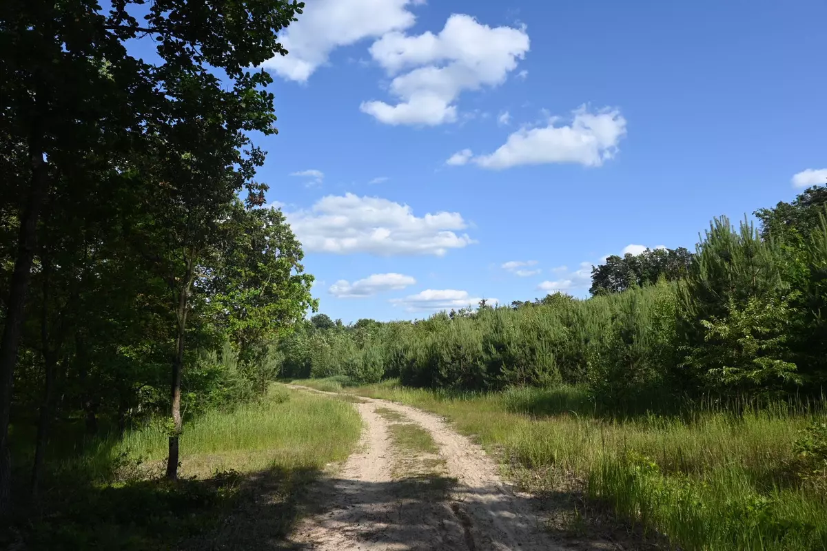 tabliczki kierunkowe szlaków na wzgórzach
