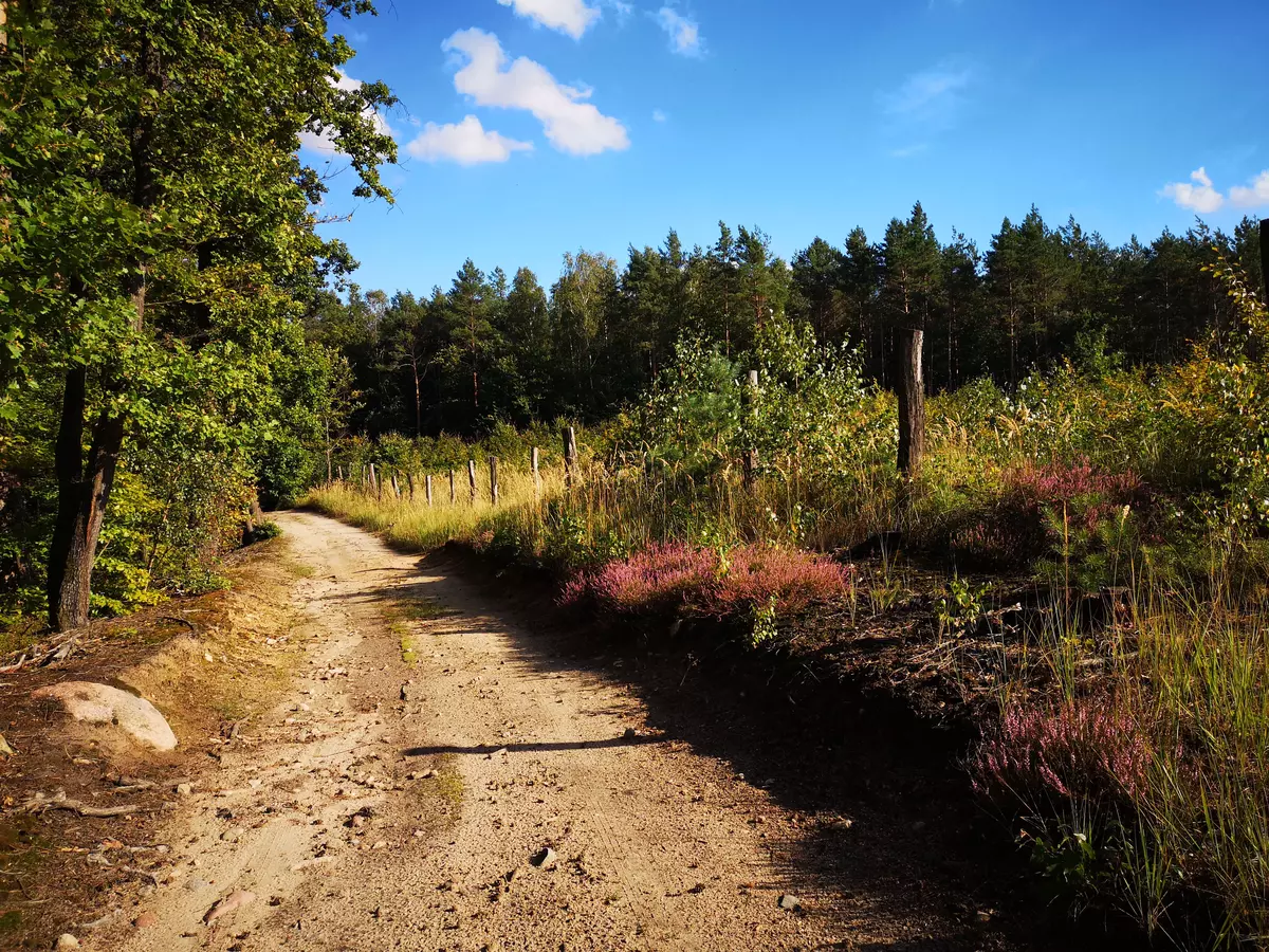 tabliczki kierunkowe szlaków na wzgórzach