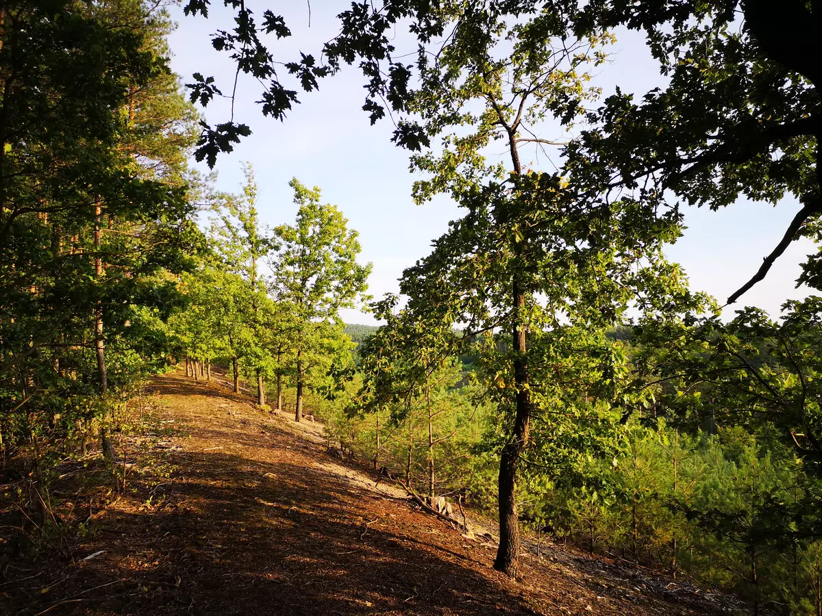 tabliczki kierunkowe szlaków na wzgórzach