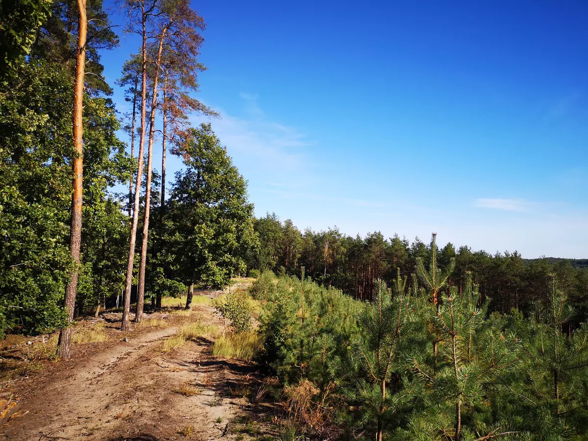 tabliczki kierunkowe szlaków na wzgórzach